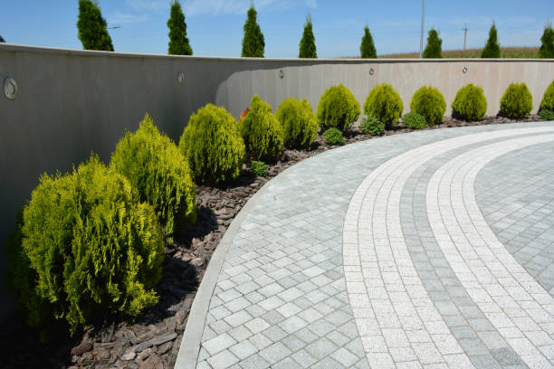 Best Professional Driveway Pavers  in Fountain Hill, PA